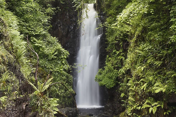 Cranny Falls near Carnlough, County Antrim, Northern Ireland, Great Britain, Europe, PublicGround