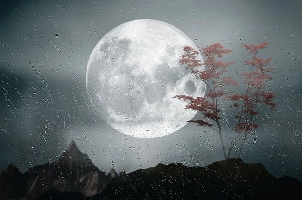 Creative full moon art