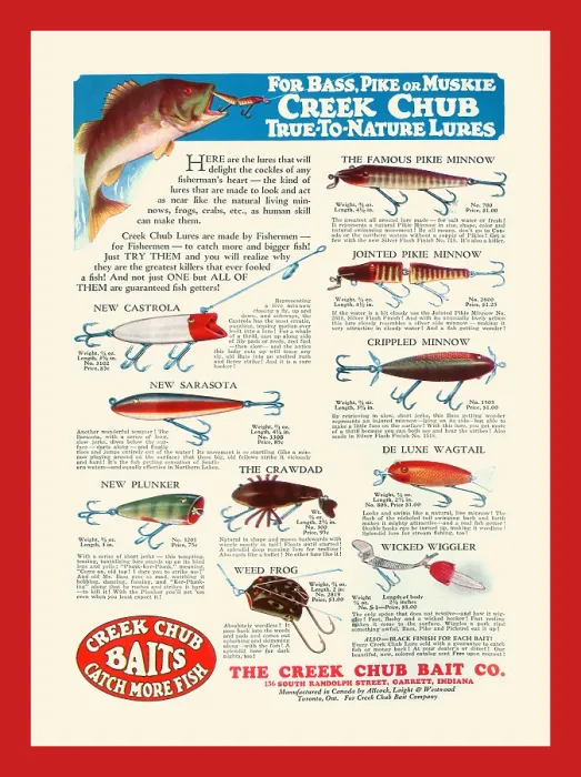 Framed Print : Creek Chub Baits Catch More Fish Framed Print : Creek Chub Baits Catch More Fish