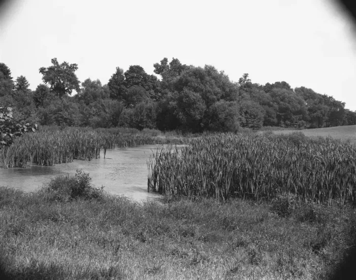 Framed Print : Creek and field, (B&W) Framed Print : Creek and field, (B&W)