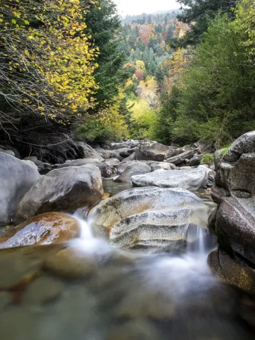 Framed Print : Creek of high mountain in a forest in autumn Framed Print : Creek of high mountain in a forest in autumn