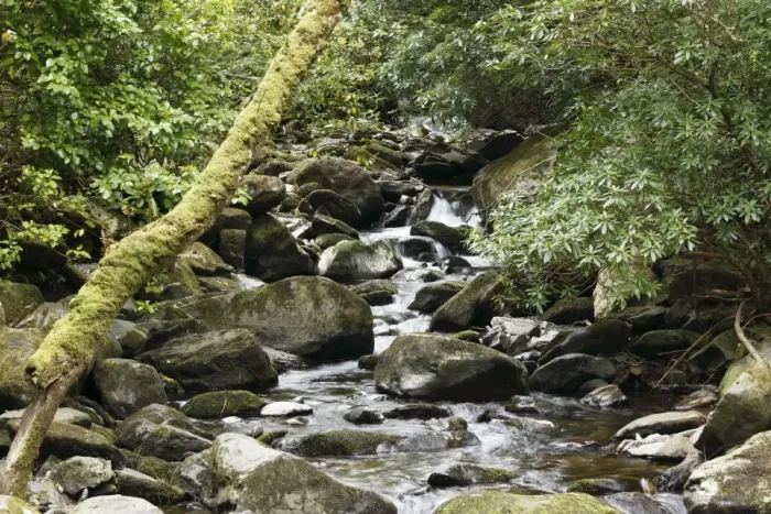 Framed Print : Creek near Torc Waterfall, Killarney National Park, County Kerry, Ireland, British Isles, Europe Framed Print : Creek near Torc Waterfall, Killarney National Park, County Kerry, Ireland, British Isles, Europe