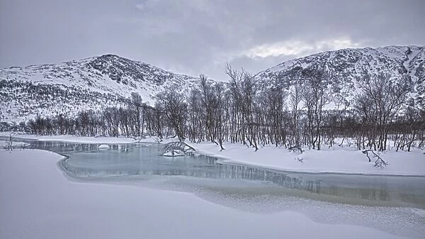 Creek in winter, Norway, Europe