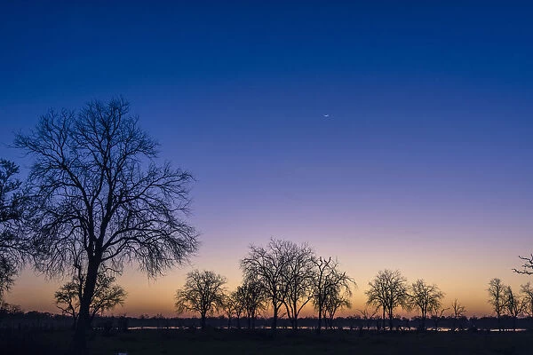 Crescent moon at sunset over Khwai River, Khwai Concession, Okavango Delta, Botswana
