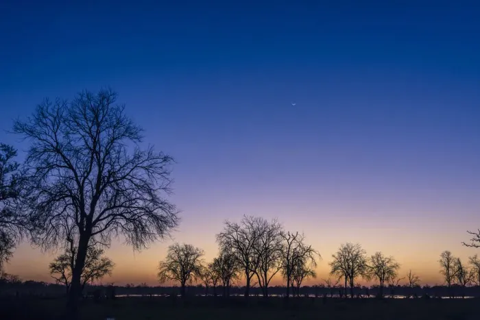 Framed Print : Crescent moon at sunset over Khwai River, Khwai Concession, Okavango Delta, Botswana