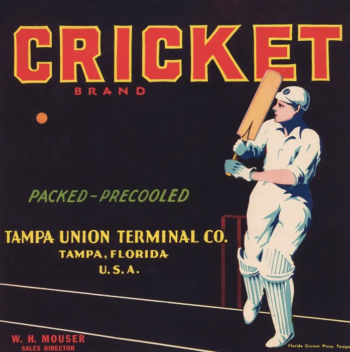 Framed Print : Cricket Brand Framed Print : Cricket Brand