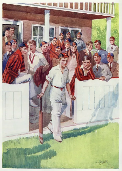 Framed Print : Cricket Pressure Framed Print : Cricket Pressure