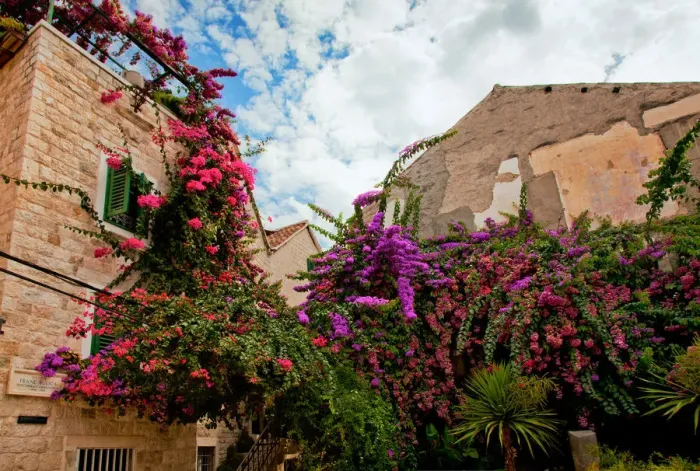 Framed Print : Croatia - Split: Air Garden Framed Print : Croatia - Split: Air Garden