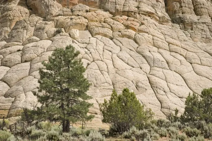 Framed Print : Cross-Bedded Sandstone On A Petrified Sand Dune At Grand Staircase-Escalante National Monument Framed Print : Cross-Bedded Sandstone On A Petrified Sand Dune At Grand Staircase-Escalante National Monument