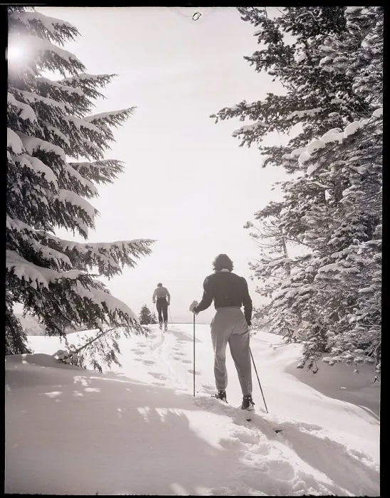 Framed Print : Cross Counrty Skiers On A Trail Framed Print : Cross Counrty Skiers On A Trail