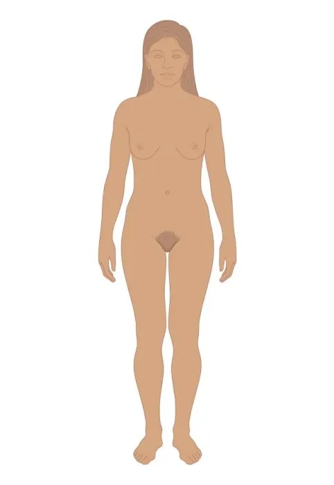 Framed Print : Cross section biomedical illustration of young woman after puberty Framed Print : Cross section biomedical illustration of young woman after puberty