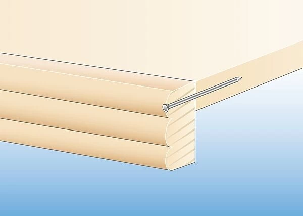 Cross section digital illustration showing strip of wooden moulding nailed to edge of shelf