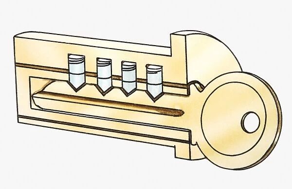 Cross section iIllustration of key in lock