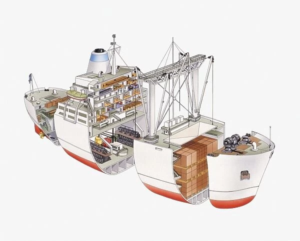 Cross section illustration of cargo ship