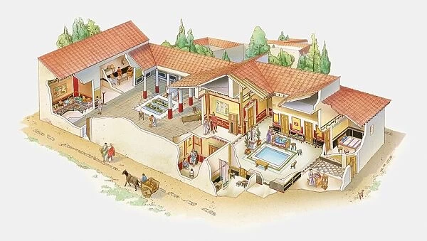 Cross section illustration of Roman villa available as Framed Prints ...