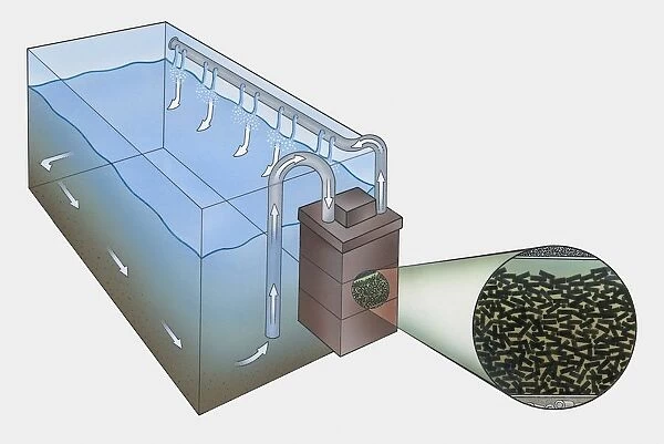 Cross section illustration showing how a carbon filtration tank works