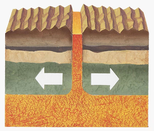 Cross section illustration showing the edges of two tectonic plates being pushed apart with magma beneath and between them