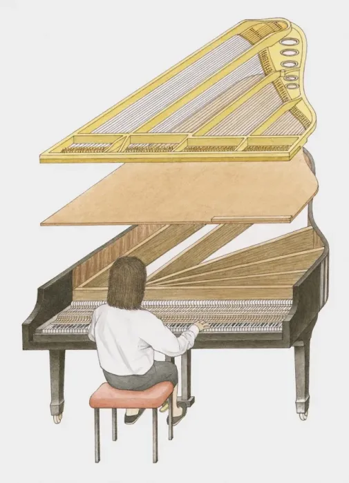 Framed Print : Cross section illustration of woman playing grand piano showing how sound is produced Framed Print : Cross section illustration of woman playing grand piano showing how sound is produced