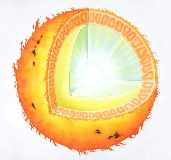 Cross section of the sun, illustration