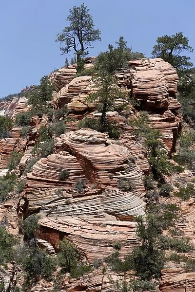 Cross-stratification in sandstone of the Navajo Formation, Zion National Park, Utah, USA