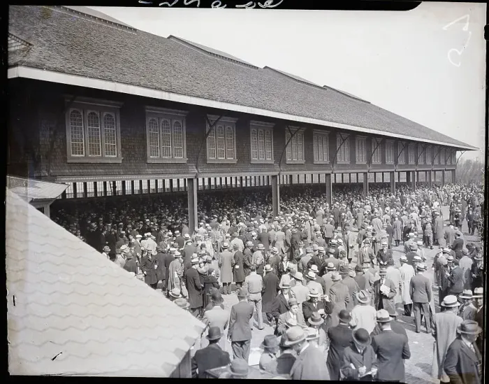 Framed Print : A Crowd Of Betters At Betting Shed Framed Print : A Crowd Of Betters At Betting Shed