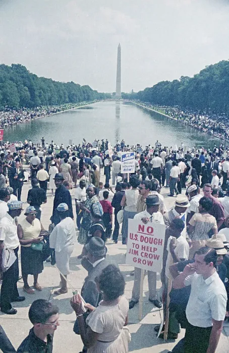 Framed Print : Crowd of Protesters at Washington Monument Framed Print : Crowd of Protesters at Washington Monument