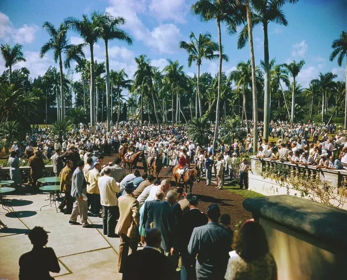 Framed Print : Crowd Watching Horses Leaving Paddock