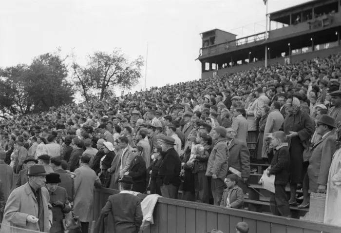 Framed Print : Crowds in bleachers Framed Print : Crowds in bleachers