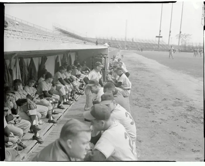Framed Print : Crowed View of Visitors Dugout Framed Print : Crowed View of Visitors Dugout