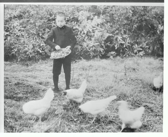 Framed Print : Crown Prince Akihito Feeding Chickens on Palace Grounds Framed Print : Crown Prince Akihito Feeding Chickens on Palace Grounds