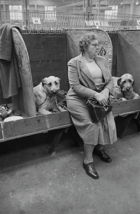 Framed Print : Crufts Hopefuls Framed Print : Crufts Hopefuls