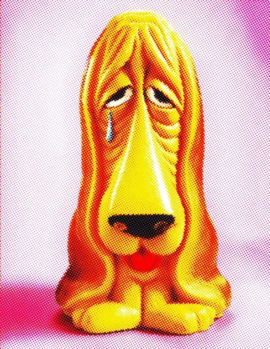 Framed Print : Crying Sad Dog Framed Print : Crying Sad Dog