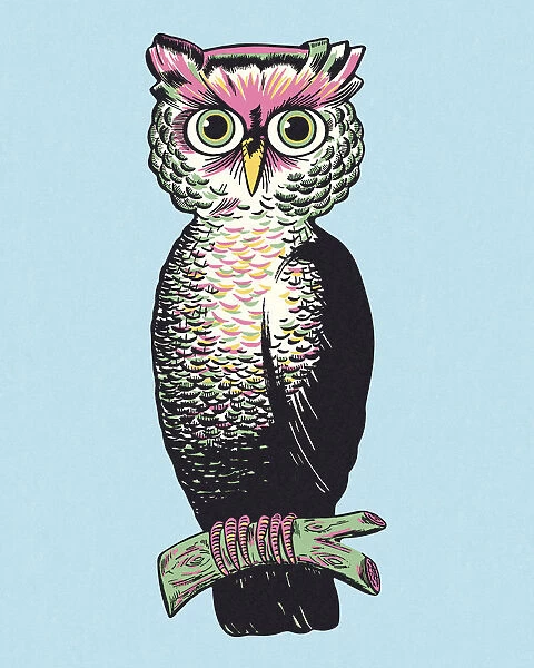 Owl. http: /  / csaimages.com / images / istockprofile / csa_vector_dsp.jpg