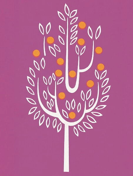 Tree. http: /  / csaimages.com / images / istockprofile / csa_vector_dsp.jpg
