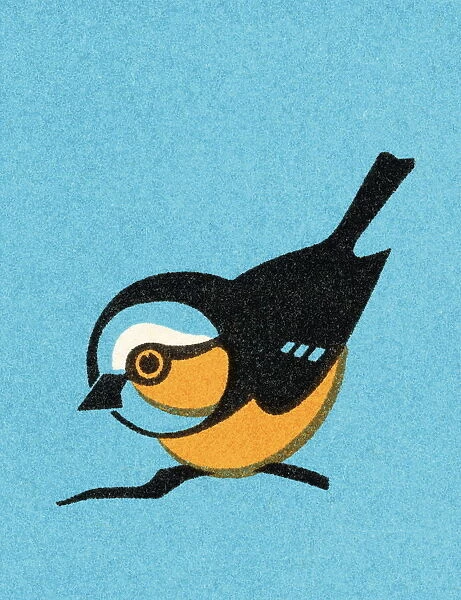 Bird. http: /  / csaimages.com / images / istockprofile / csa_vector_dsp.jpg