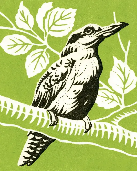 Framed Print : Bird. http: / / csaimages.com / images / istockprofile / csa_vector_dsp.jpg Framed Print : Bird. http: / / csaimages.com / images / istockprofile / csa_vector_dsp.jpg
