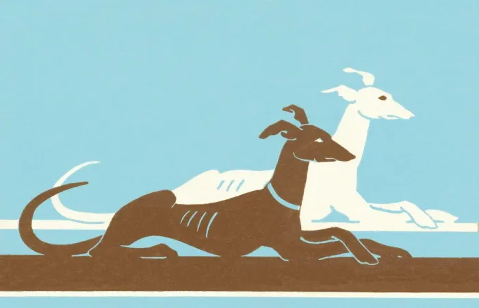 Framed Print : Dogs. http: / / csaimages.com / images / istockprofile / csa_vector_dsp.jpg Framed Print : Dogs. http: / / csaimages.com / images / istockprofile / csa_vector_dsp.jpg