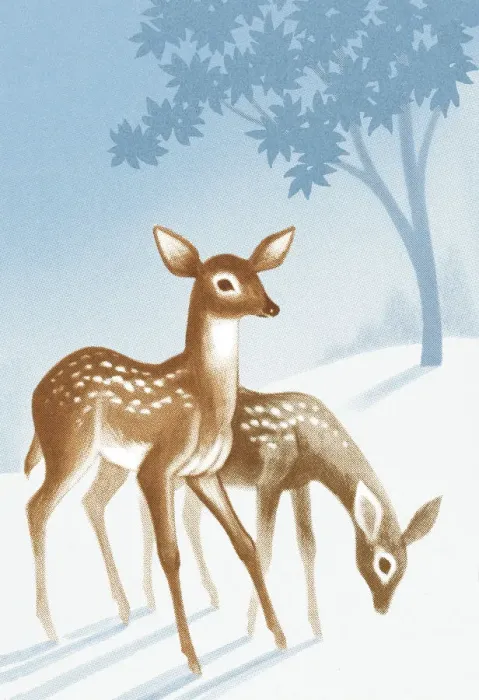 Framed Print : Deer. http: / / csaimages.com / images / istockprofile / csa_vector_dsp.jpg Framed Print : Deer. http: / / csaimages.com / images / istockprofile / csa_vector_dsp.jpg