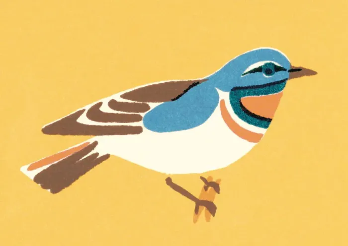 Framed Print : Bird. http: / / csaimages.com / images / istockprofile / csa_vector_dsp.jpg Framed Print : Bird. http: / / csaimages.com / images / istockprofile / csa_vector_dsp.jpg