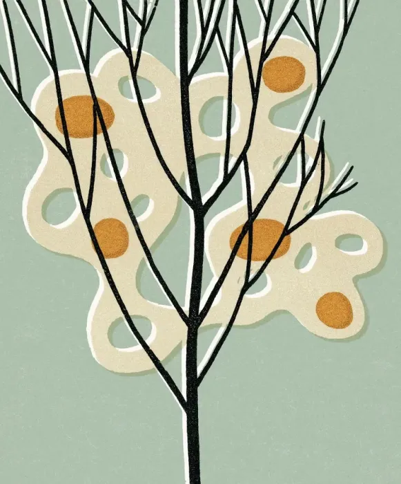 Framed Print : Tree. http: / / csaimages.com / images / istockprofile / csa_vector_dsp.jpg Framed Print : Tree. http: / / csaimages.com / images / istockprofile / csa_vector_dsp.jpg