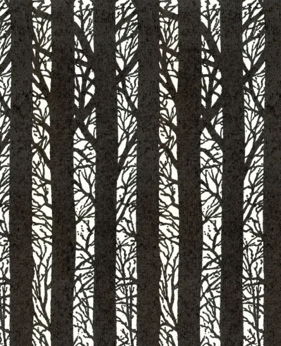 Framed Print : Trees. http: / / csaimages.com / images / istockprofile / csa_vector_dsp.jpg Framed Print : Trees. http: / / csaimages.com / images / istockprofile / csa_vector_dsp.jpg