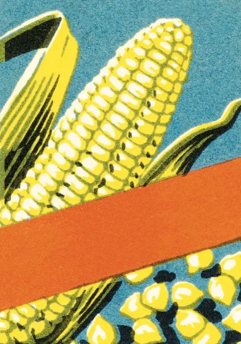 Framed Print : Corn. http: / / csaimages.com / images / istockprofile / csa_vector_dsp.jpg Framed Print : Corn. http: / / csaimages.com / images / istockprofile / csa_vector_dsp.jpg