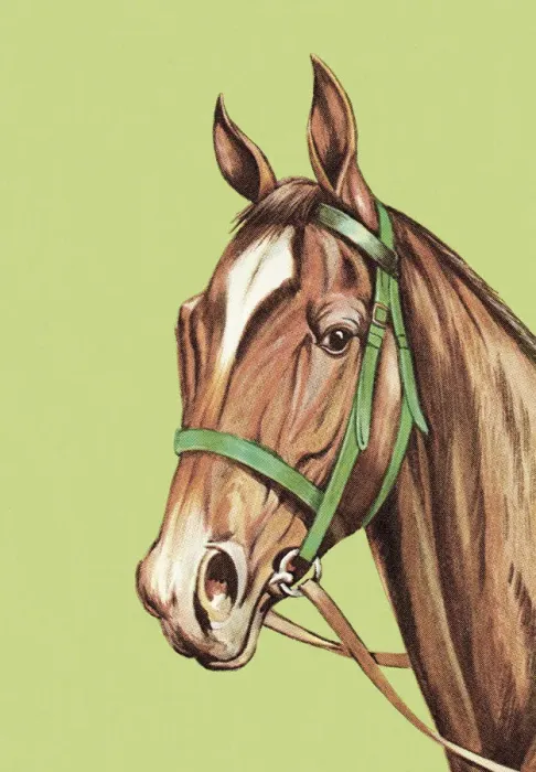 Framed Print : Horse. http: / / csaimages.com / images / istockprofile / csa_vector_dsp.jpg Framed Print : Horse. http: / / csaimages.com / images / istockprofile / csa_vector_dsp.jpg