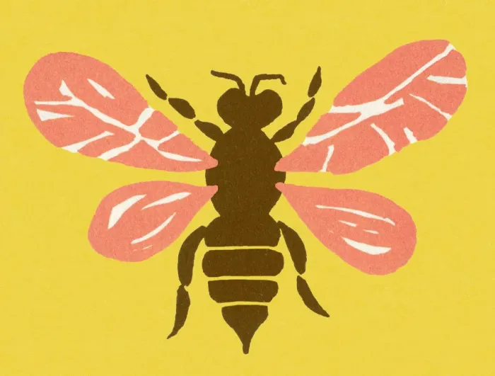 Framed Print : Wasp. http: / / csaimages.com / images / istockprofile / csa_vector_dsp.jpg Framed Print : Wasp. http: / / csaimages.com / images / istockprofile / csa_vector_dsp.jpg