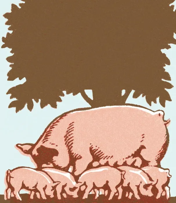 Framed Print : Pig. http: / / csaimages.com / images / istockprofile / csa_vector_dsp.jpg Framed Print : Pig. http: / / csaimages.com / images / istockprofile / csa_vector_dsp.jpg
