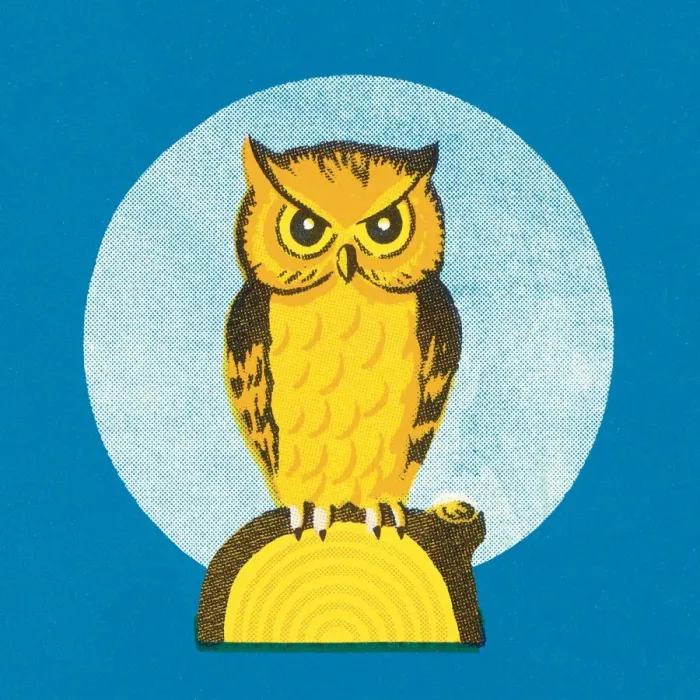 Framed Print : Owl. http: / / csaimages.com / images / istockprofile / csa_vector_dsp.jpg Framed Print : Owl. http: / / csaimages.com / images / istockprofile / csa_vector_dsp.jpg