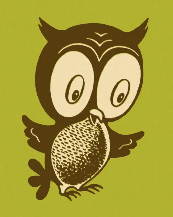 Framed Print : Owl. http: / / csaimages.com / images / istockprofile / csa_vector_dsp.jpg Framed Print : Owl. http: / / csaimages.com / images / istockprofile / csa_vector_dsp.jpg