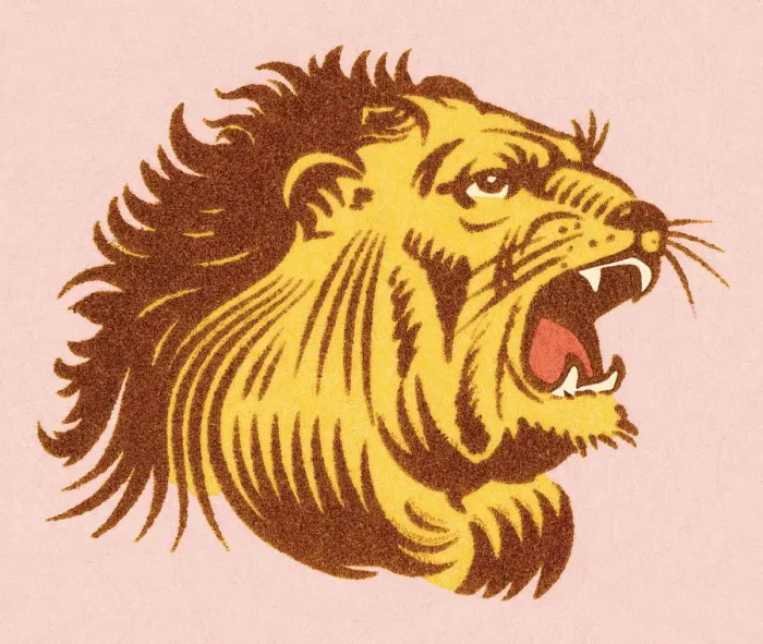 Framed Print : Lion. http: / / csaimages.com / images / istockprofile / csa_vector_dsp.jpg Framed Print : Lion. http: / / csaimages.com / images / istockprofile / csa_vector_dsp.jpg