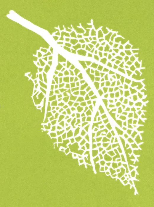 Framed Print : Leaf. http: / / csaimages.com / images / istockprofile / csa_vector_dsp.jpg Framed Print : Leaf. http: / / csaimages.com / images / istockprofile / csa_vector_dsp.jpg