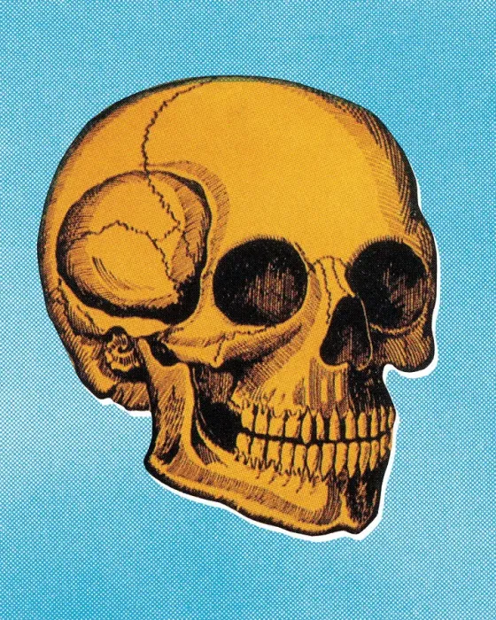 Framed Print : Skull. http: / / csaimages.com / images / istockprofile / csa_vector_dsp.jpg Framed Print : Skull. http: / / csaimages.com / images / istockprofile / csa_vector_dsp.jpg